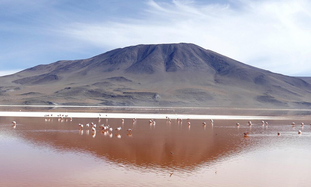 Laguna Salada Water Restoration – Saving North Dakota’s Salt Lakes:…