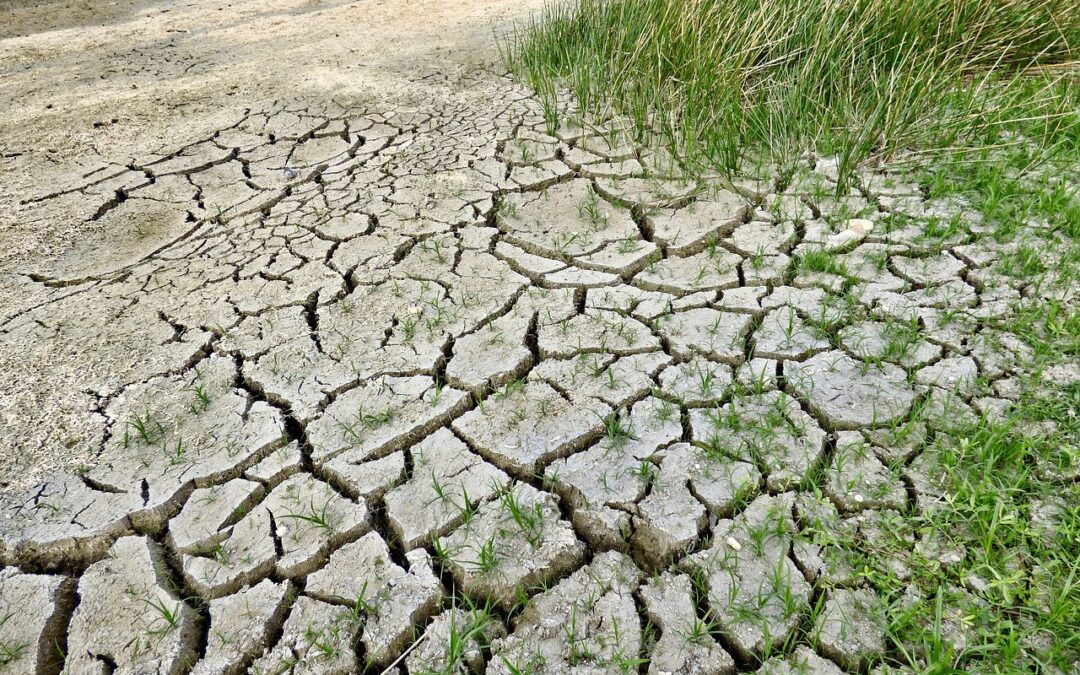 Lake Drought Prevention Methods » Nevada’s Drying Lakes: Can We…