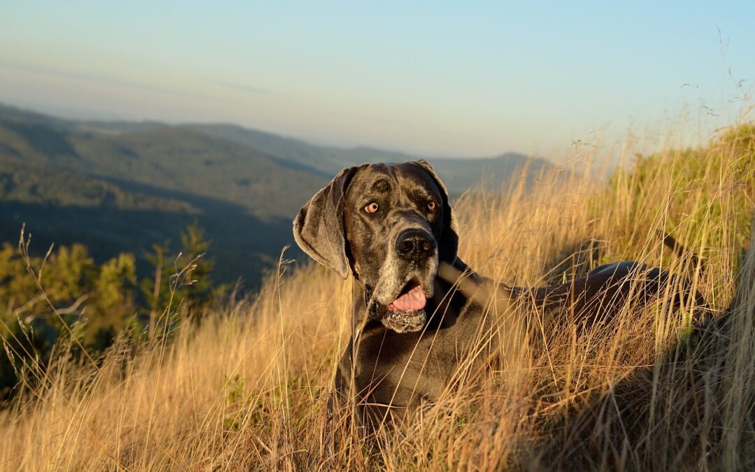 Microclimates In The Great Basin: Unveiling Hidden Worlds: Exploring Microclimates…