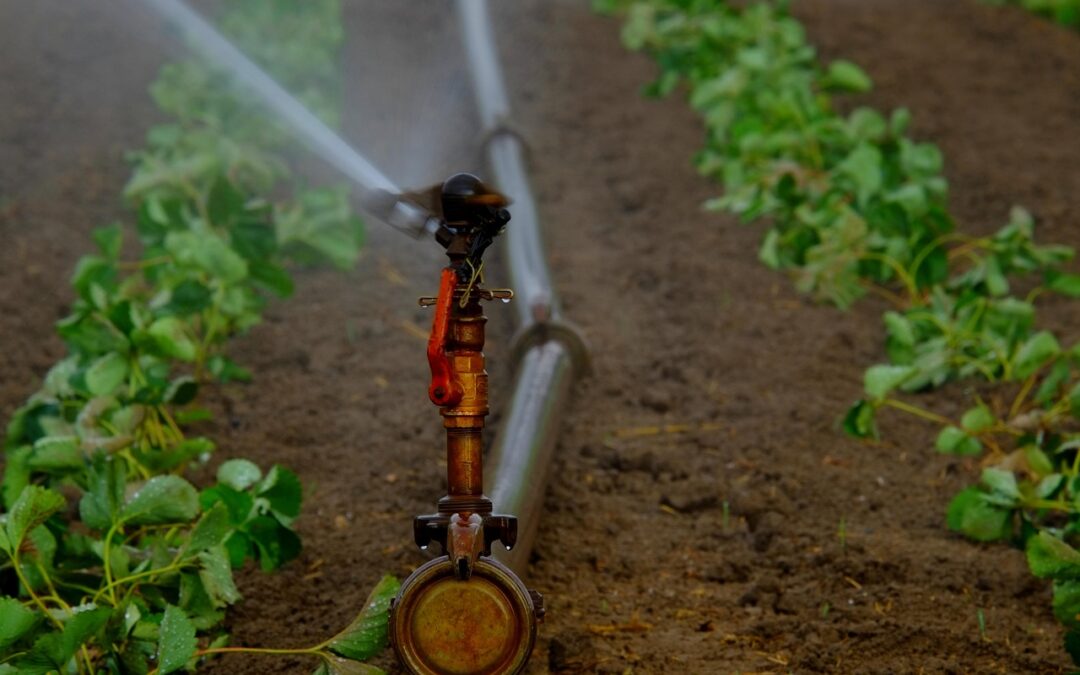 Move Water For Irrigation Systems – Thirsty Land: How Arizona…