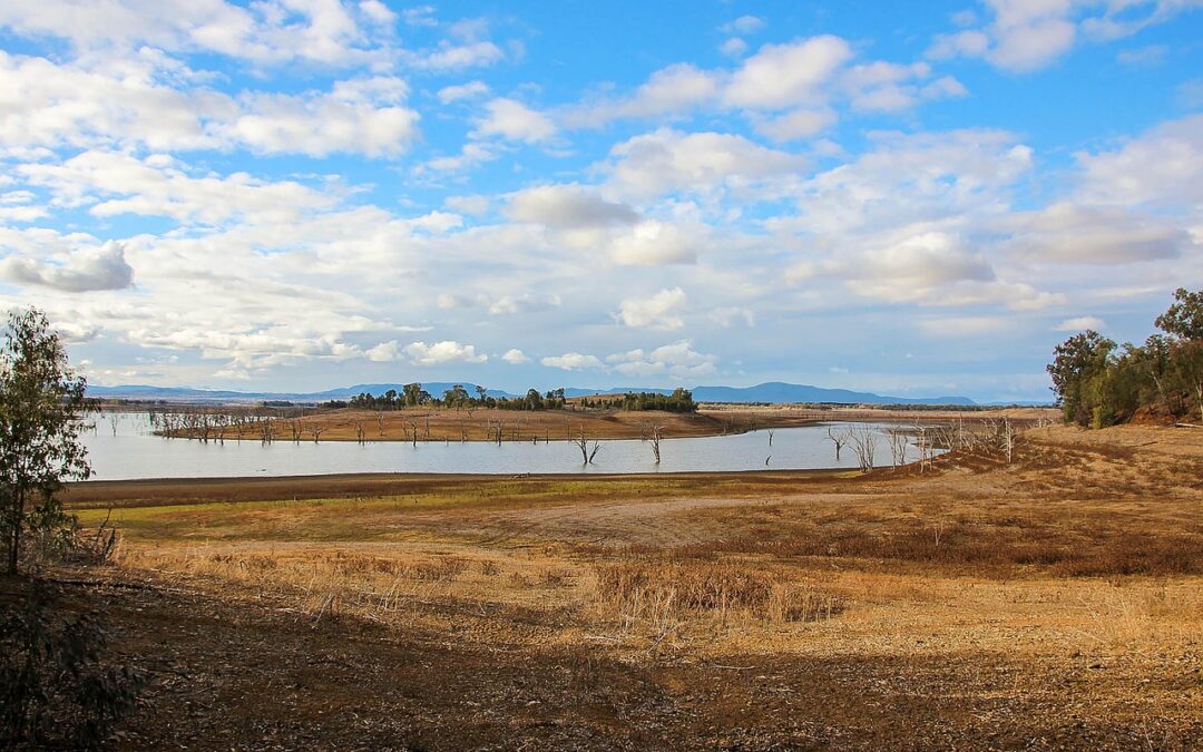 Preventing Lake Drought Naturally – Colorado’s Lakes: Fighting Back Against…