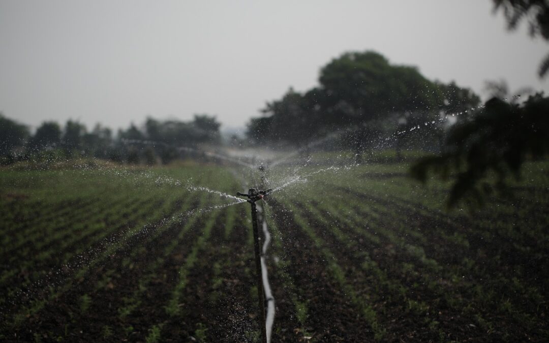 Water Conservation Techniques / Save Water, Save Our Farms! TL;DR:…