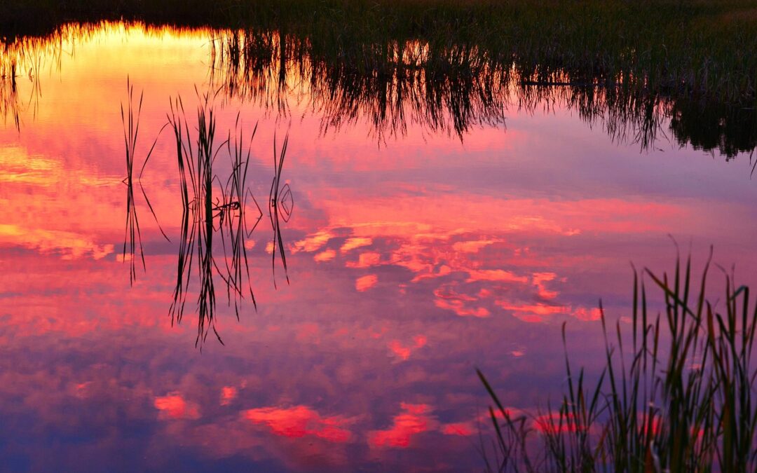 Water Cycle Repair And Climate Change » New Mexico’s Water…