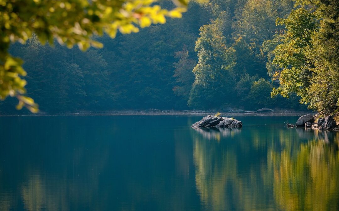 Water Management To Stop Lake Drought – 💦 Drowning In…