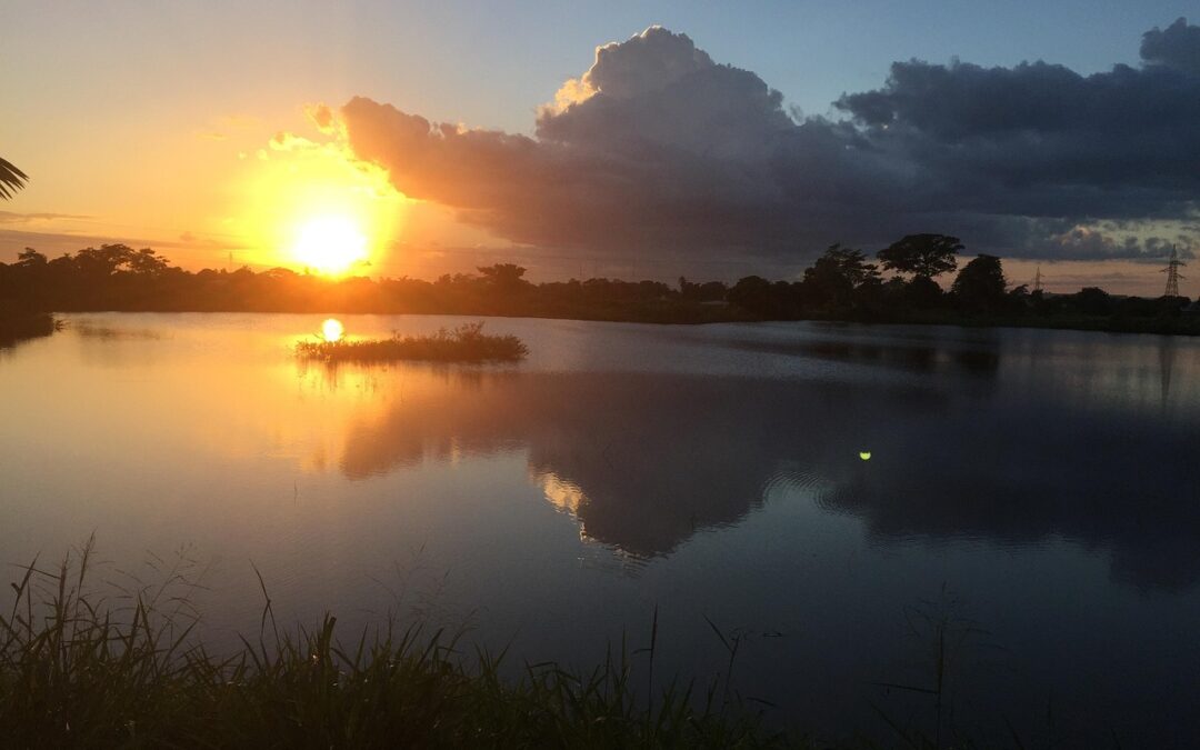 Watershed Restoration Efforts In Laguna Salada – Saving Laguna Salada:…