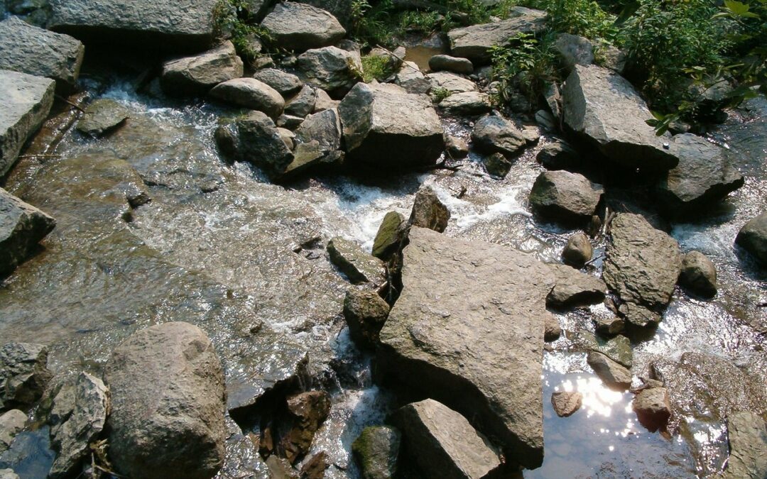 Water Conservation And Restoration Practices » 💧 Colorado’s Water Woes:…