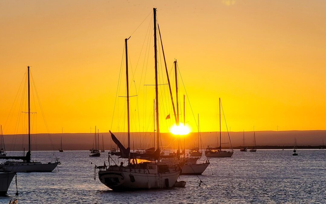Climate Variability In Baja California: The Hidden Power Of Trees:…