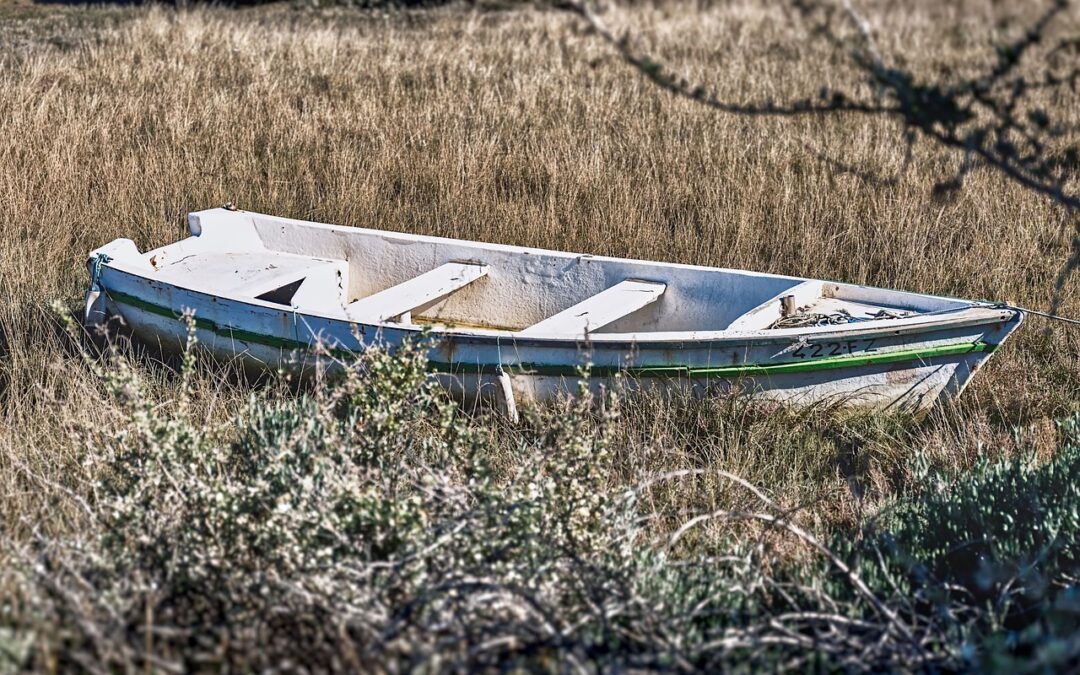 Strategies To Stop Lake Drought – Saving Our Lakes: How…