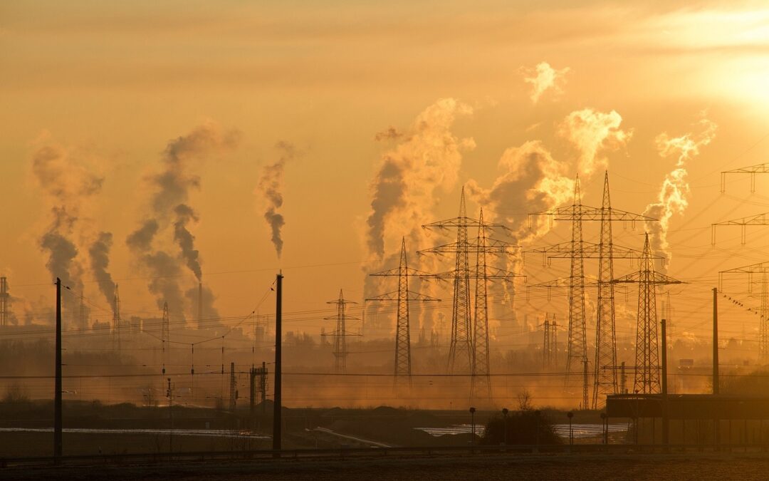 Active Climate Rescue Initiative And Environmental Impact | Saving Our…