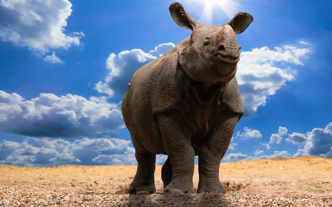Active Climate Rescue Initiative And Environmental Impact ~ Saving Our…