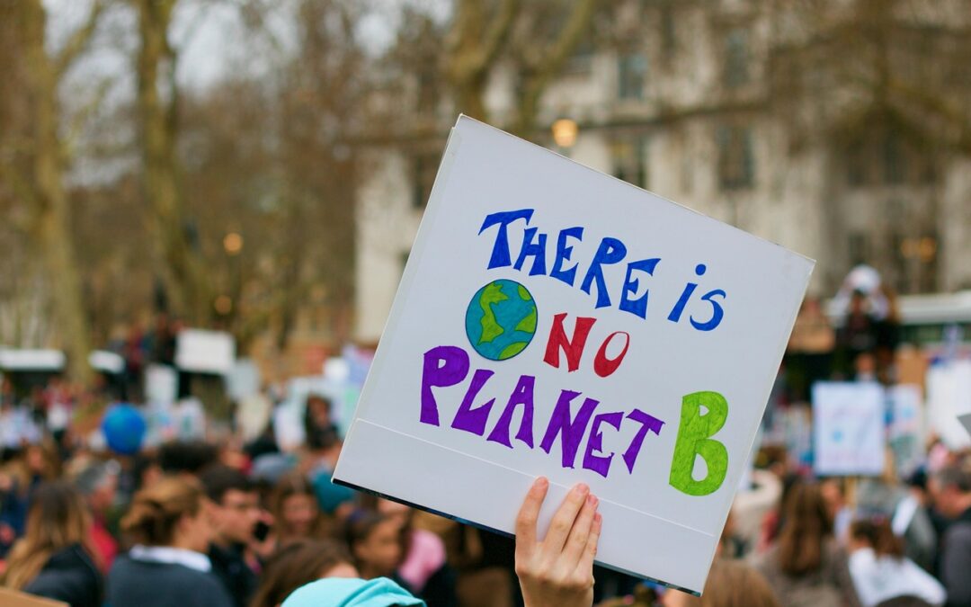 Active Climate Rescue Initiative Volunteer Programs ~ The Hidden Heroes…