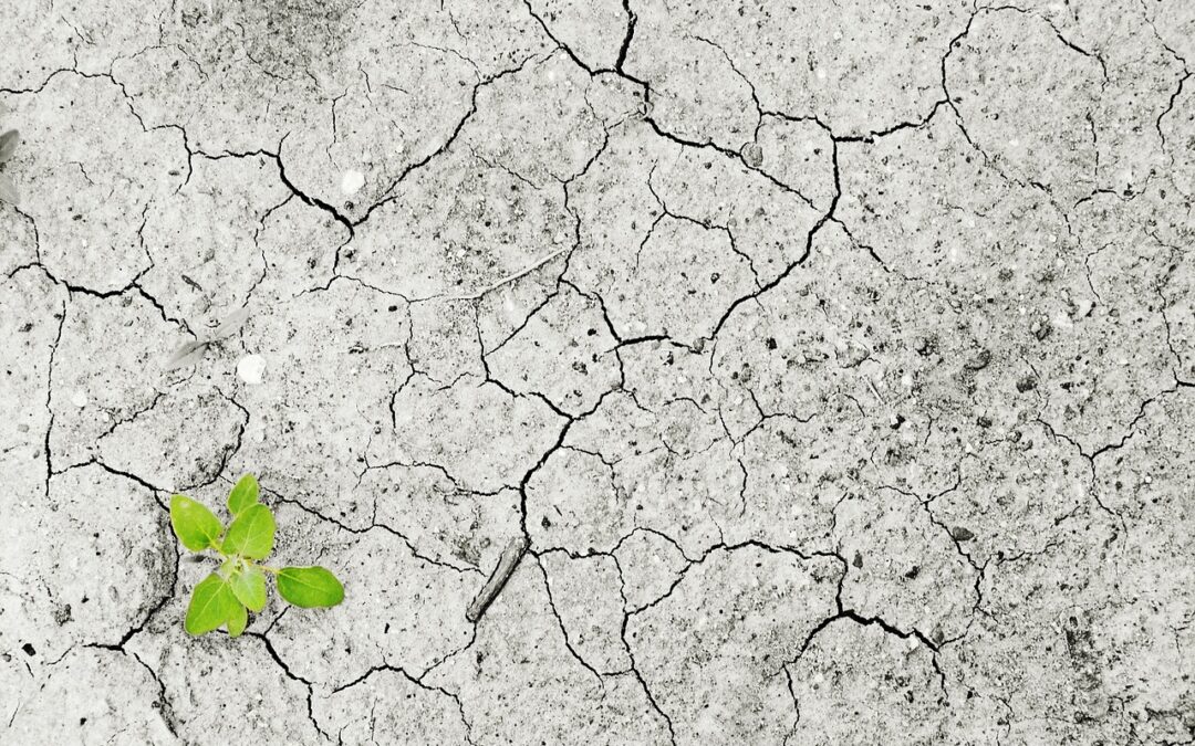 Climate Change, – Our Changing World: Idaho’s Climate Challenge TL;DR:…