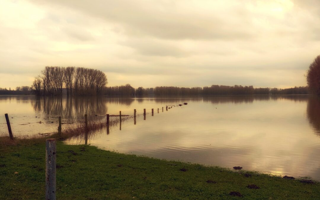 Climate Change, – Our Shrinking Lake: Climate Change And The…