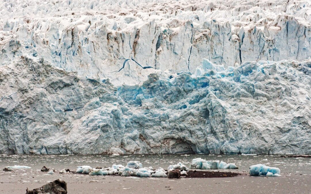 Climate Action Plans By Active Climate Rescue Initiative » Saving…