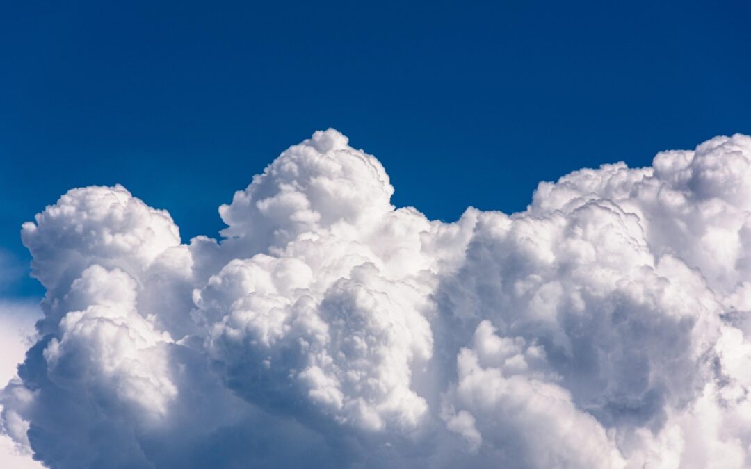 Climate Action Plans By Active Climate Rescue Initiative ~ Saving…