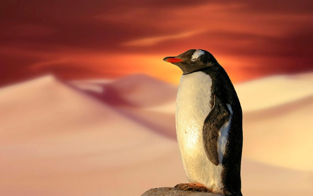 Climate Rescue And Policy Change ~ Our Planet’s SOS: Can…