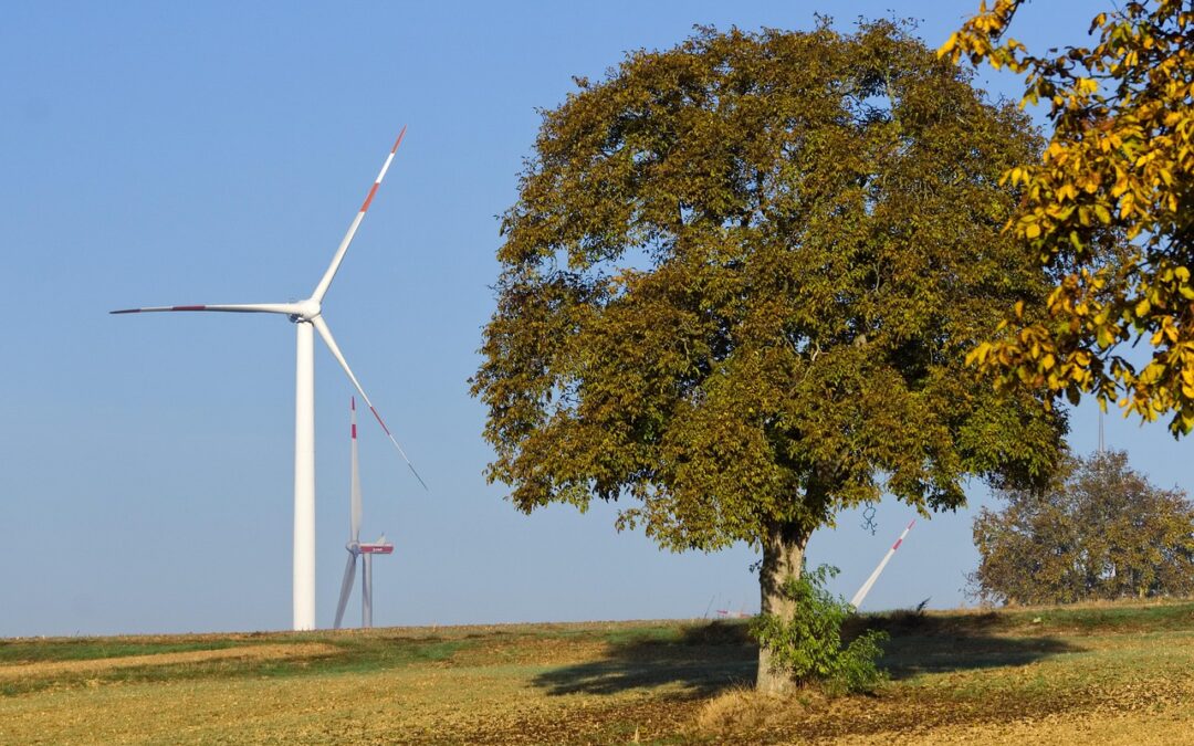 Climate Rescue And Renewable Energy » Saving Our Planet: How…