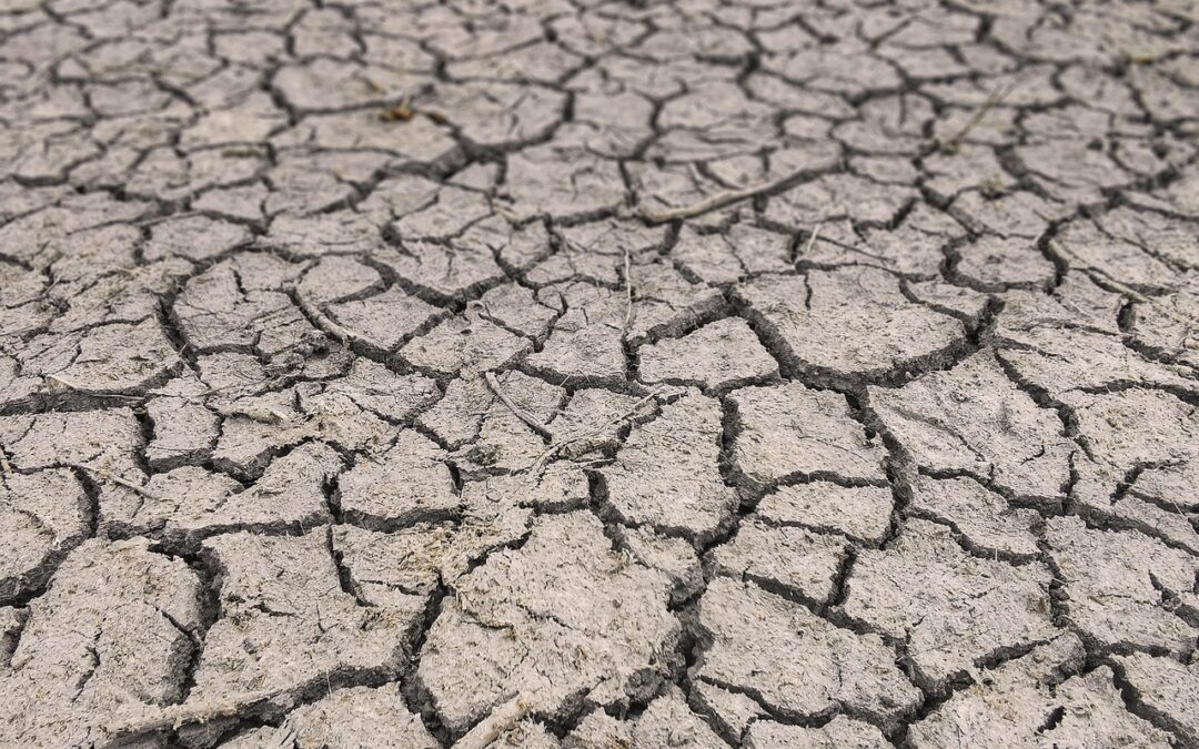 Drought,: New Mexico’s Thirsty Land: Understanding Drought In The Southwest…