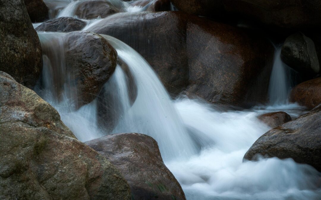 Efficient Water Cycle Reclamation | 💧 Saving Water: A Vital…