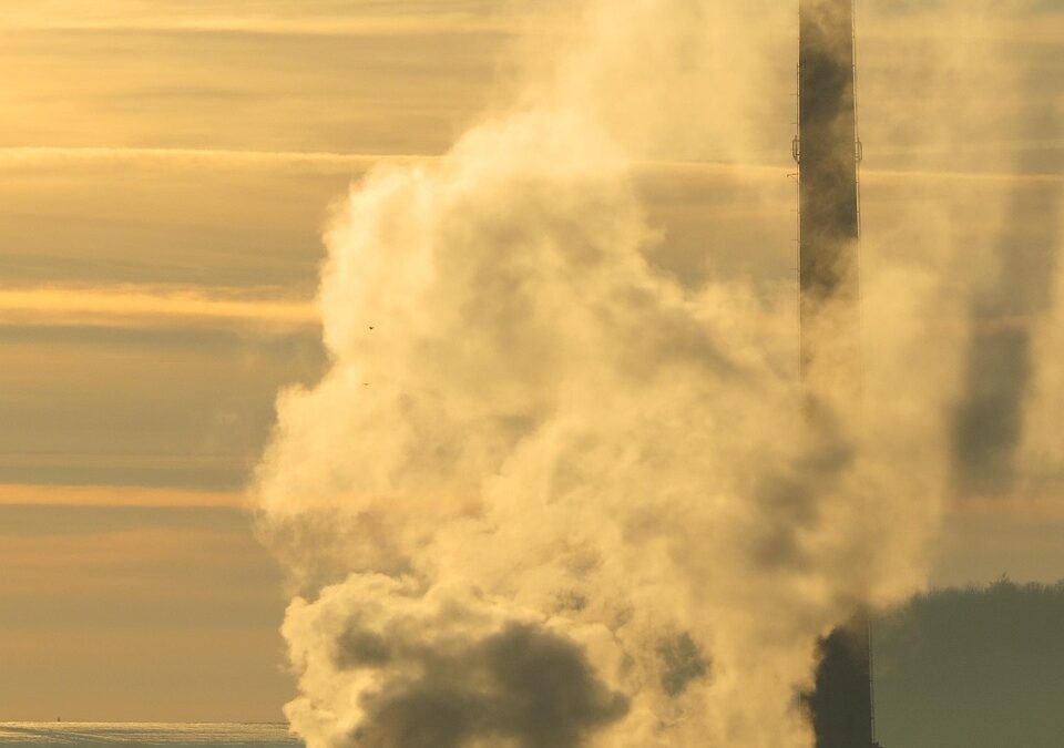 Environmental Impact Reduction | Our Planet’s SOS: How We Can…