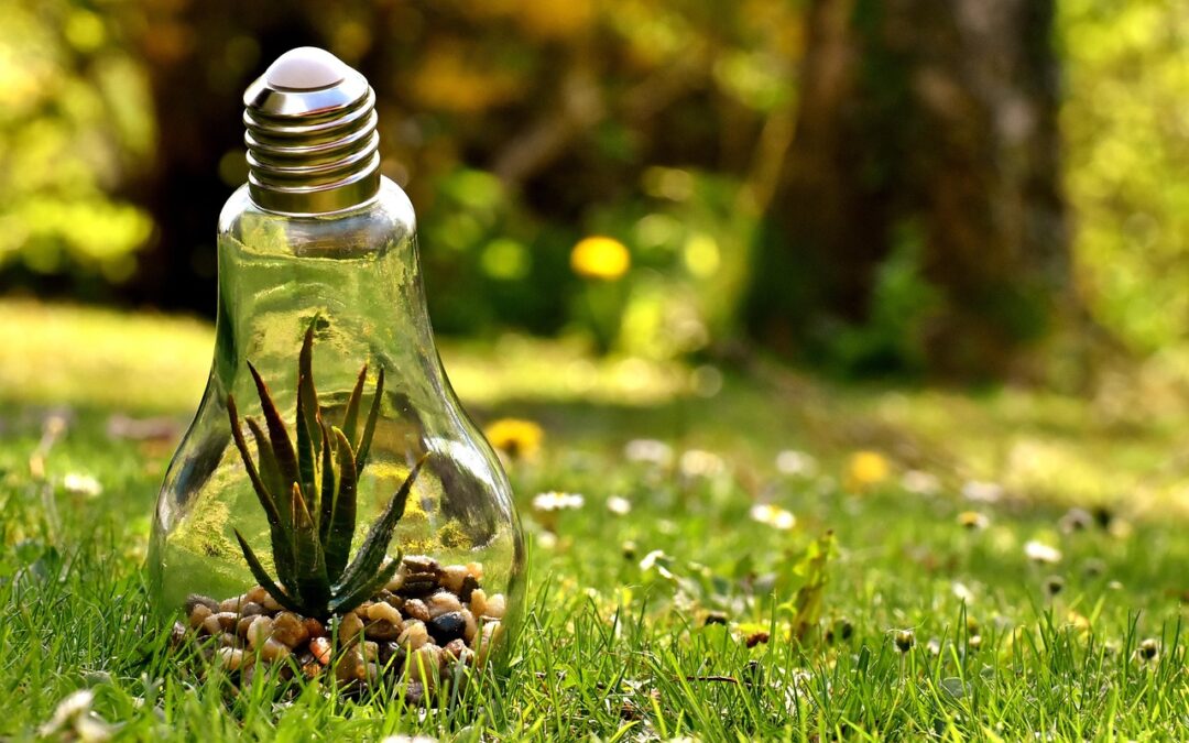 Environmental Impact Reduction | Saving Our Planet: How We Can…