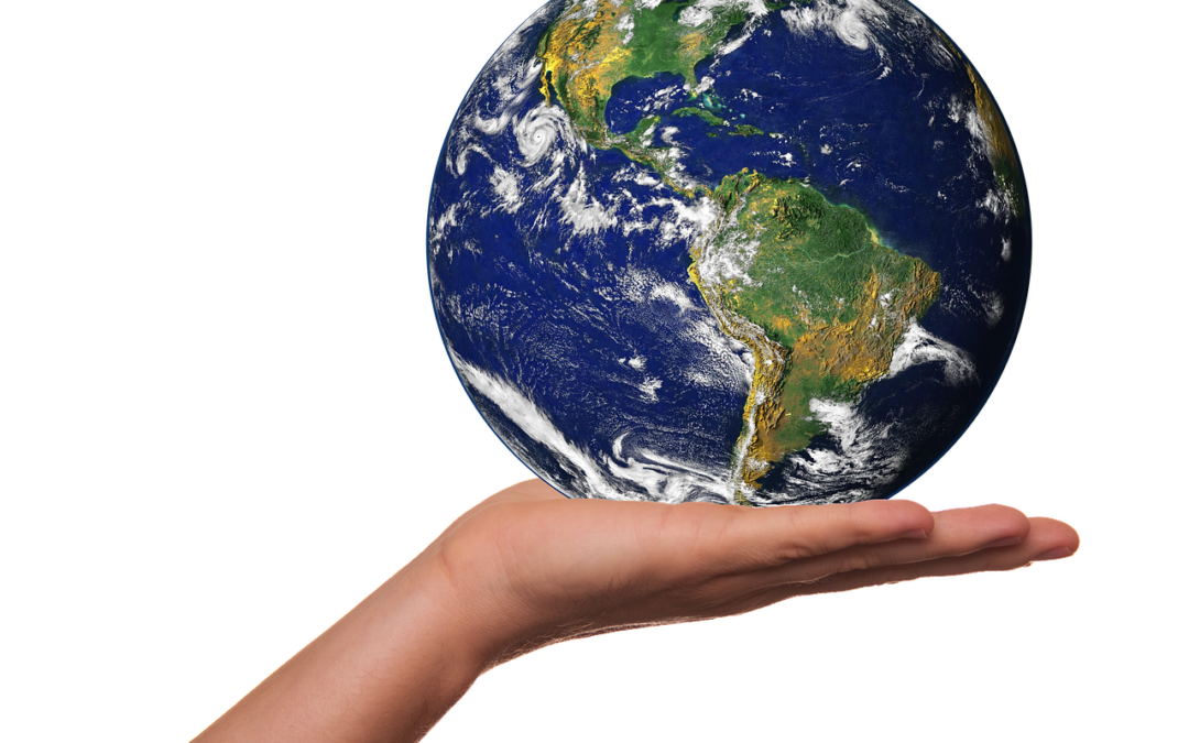 Global Warming, | Our Planet’s Fever: Understanding Global Warming TL;DR:…