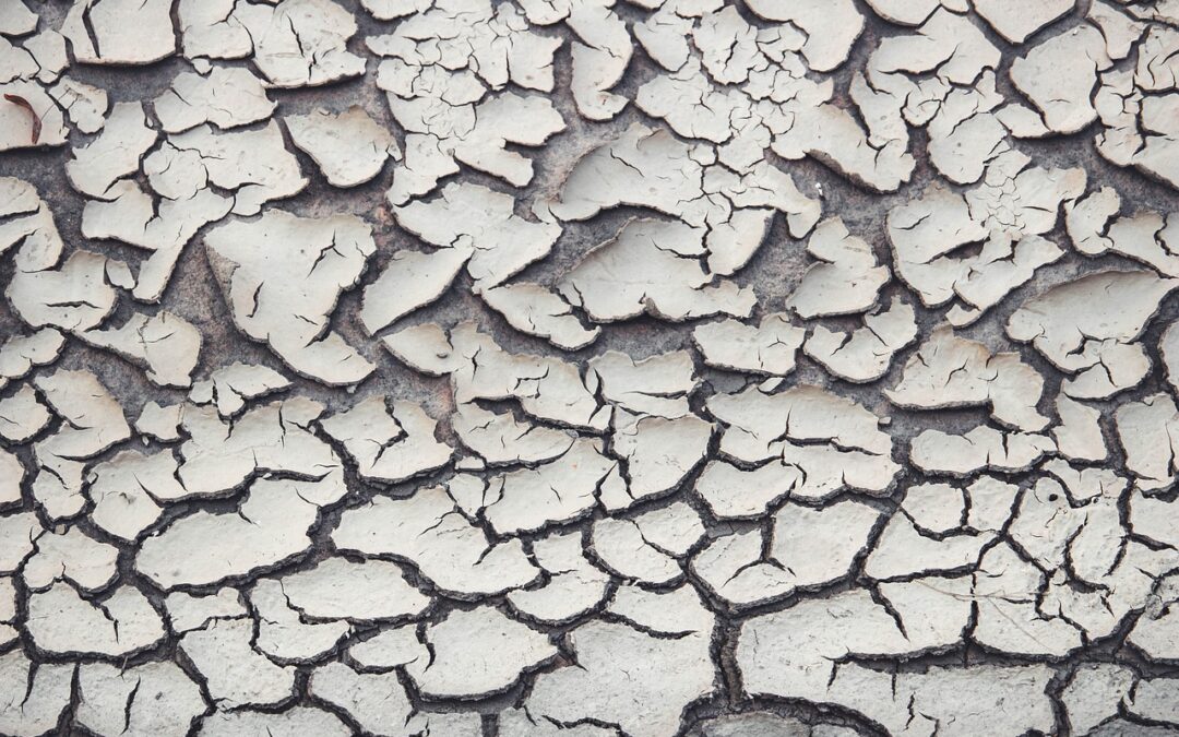 Global Warming Solutions: Our Changing Climate: How Colorado’s Weather Is…
