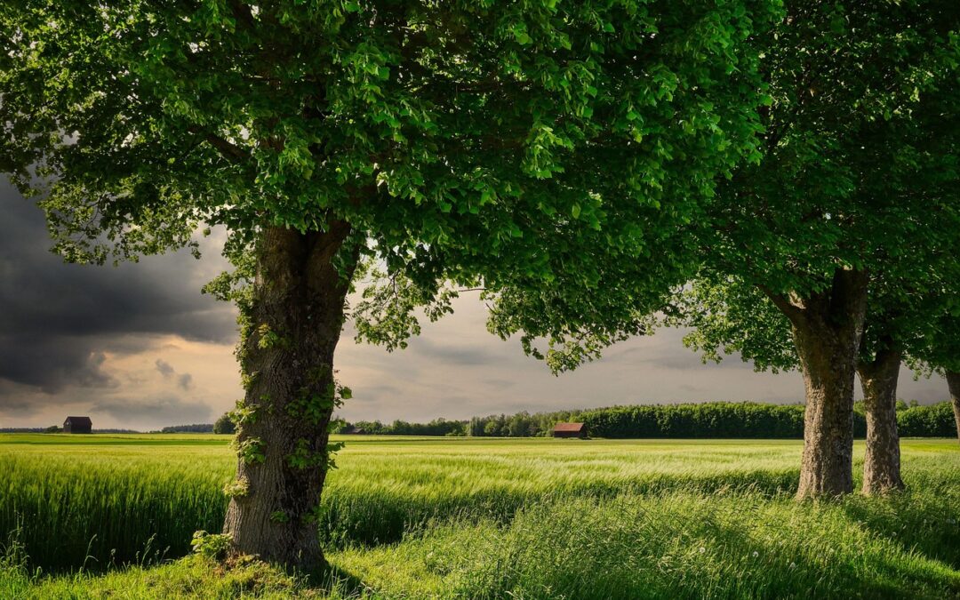 Great Basin Climate And Agriculture – Unlocking The Secrets Of…