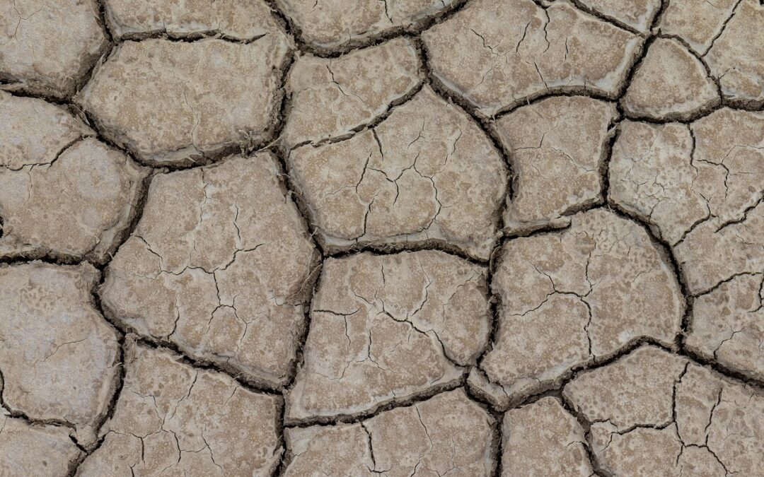 Great Basin Climate And Agriculture: The Great Basin: A Land…