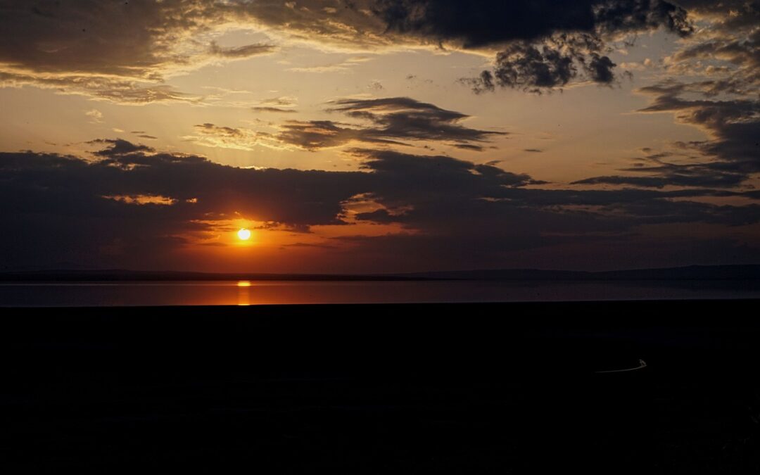 Great Salt Lake Advocacy And Activism / The Great Salt…