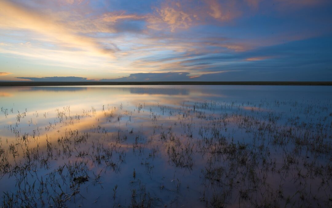 Great Salt Lake Advocacy And Activism / The Great Salt…
