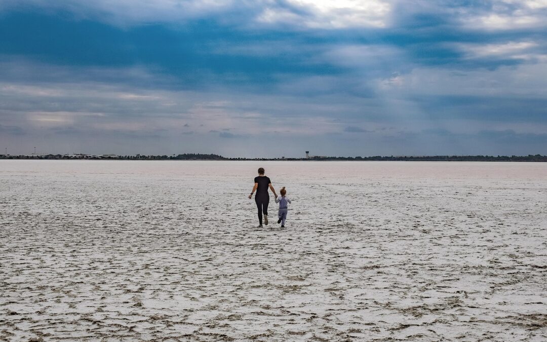 Great Salt Lake Advocacy And Activism » The Great Salt…