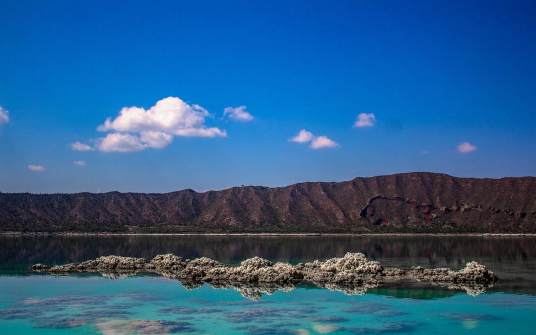 Great Salt Lake Conservation Strategies » The Great Salt Lake:…