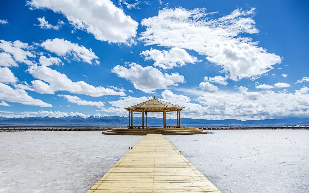 Great Salt Lake Ecosystem Protection – The Great Salt Lake:…