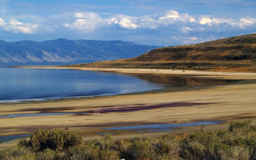 Great Salt Lake Wildlife Conservation ~ The Great Salt Lake:…