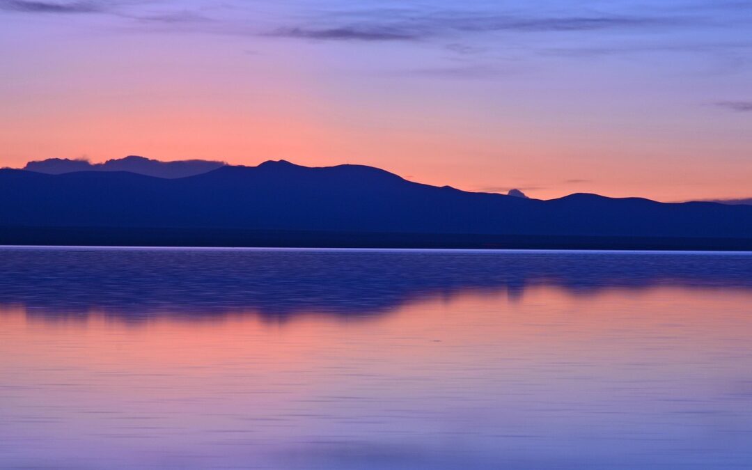 Great Salt Lake Wildlife Conservation: The Great Salt Lake: A…