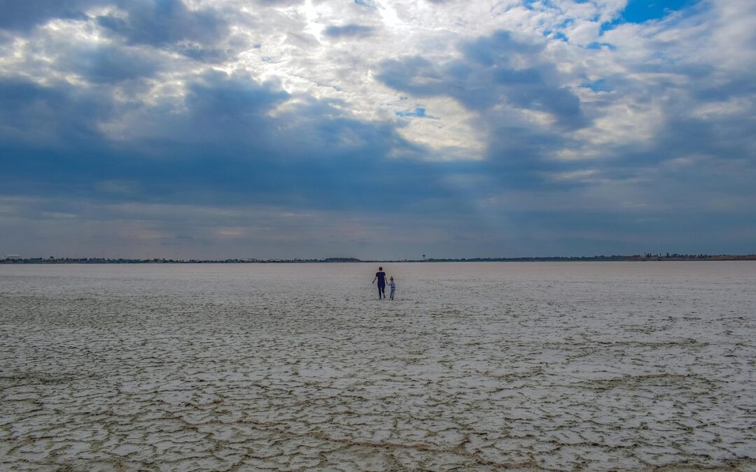 Great Salt Lake, – The Great Salt Lake Is Shrinking,…