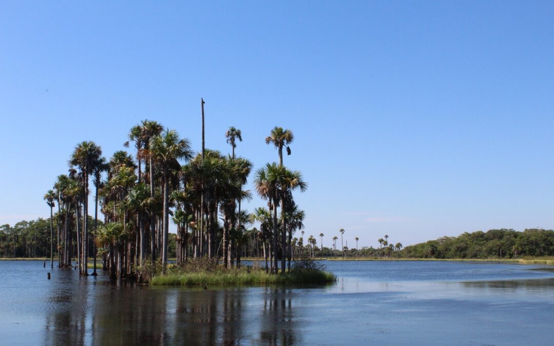 Laguna Salada Water Restoration: Saving Our Salty Lake: A Story…