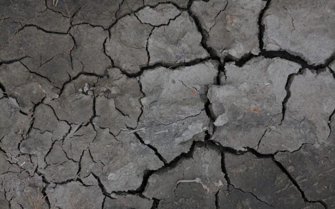 Lake Drought Mitigation Techniques ~ Nevada’s Lakes: A Thirsty Story…