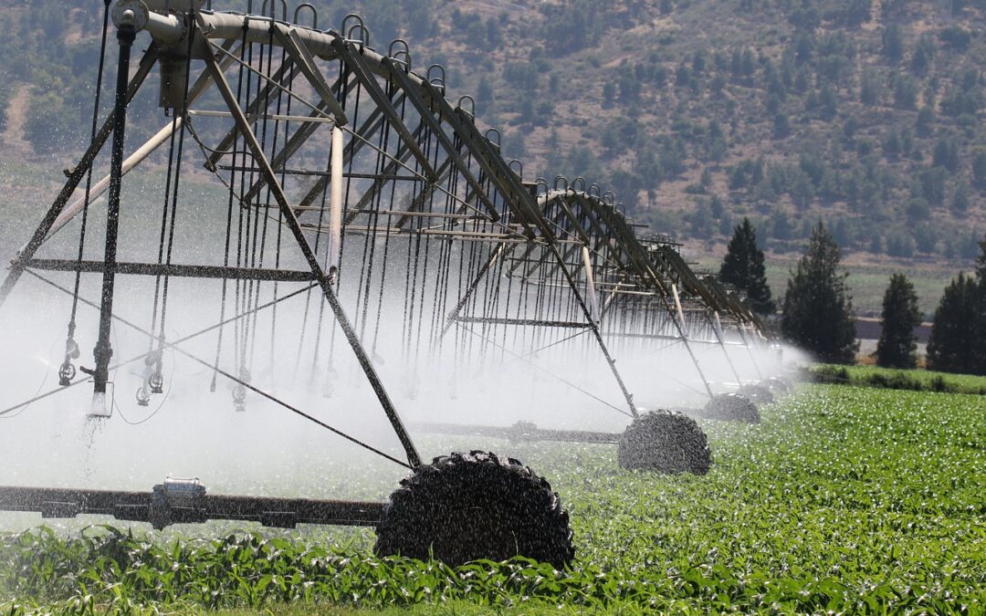 Lake Drought Prevention Methods » Saving Our Lakes: How We…