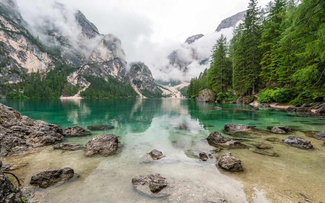 Lake Drought Prevention Methods – Nature’s Water Works: How Plants,…