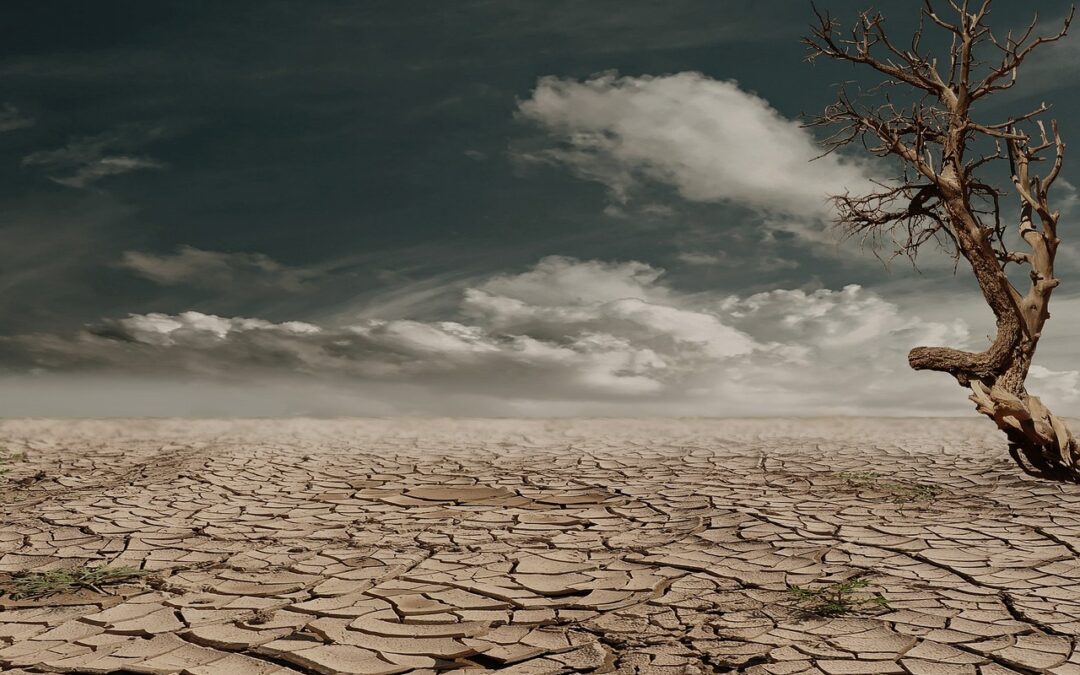 Lake Drought Repair Initiatives » Saving Our Lakes: A Montana…