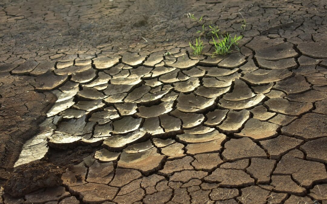 Mega Drought – New Mexico’s Thirsty Land: Facing The Mega…