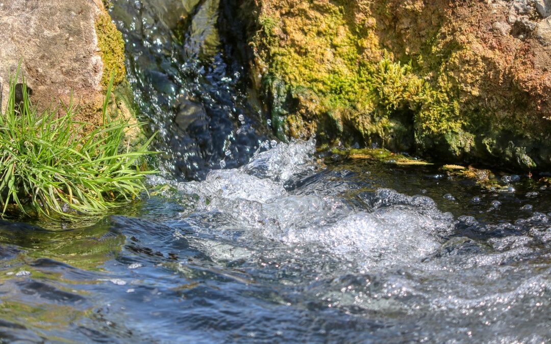 Move Water For Agricultural Purposes – Water Woes: New Mexico’s…