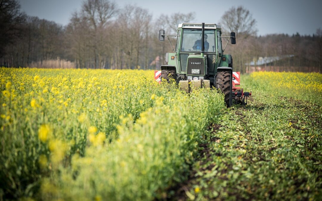Move Water For Agricultural Purposes / Keeping Crops Growing In…