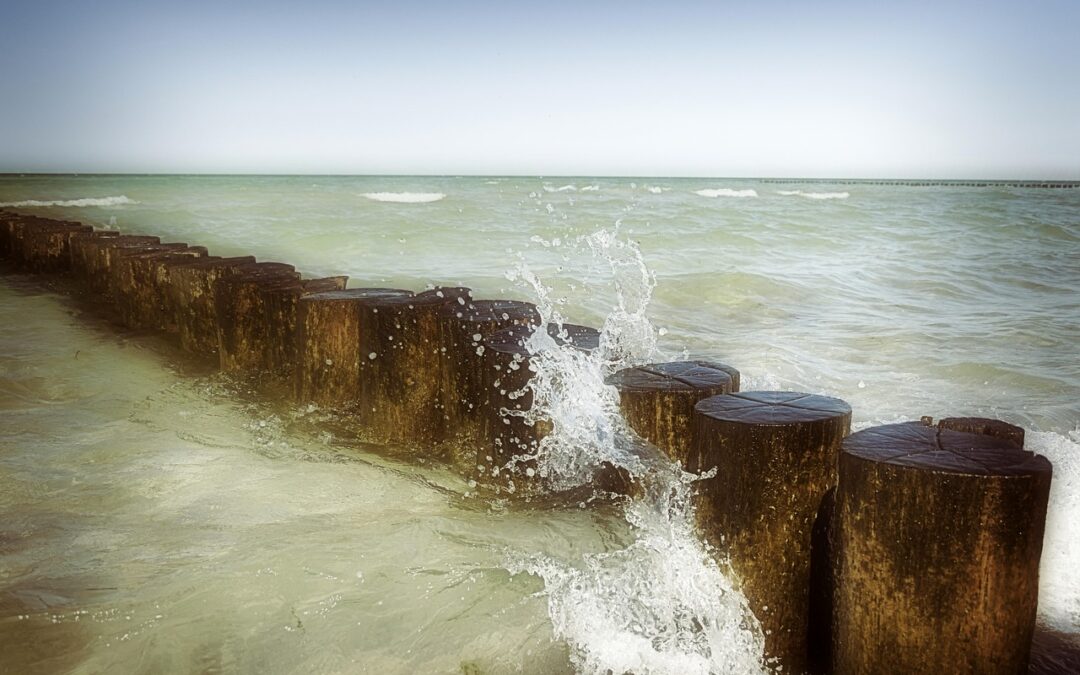 Move Water For Agricultural Purposes | Saving Water: A Lifeline…
