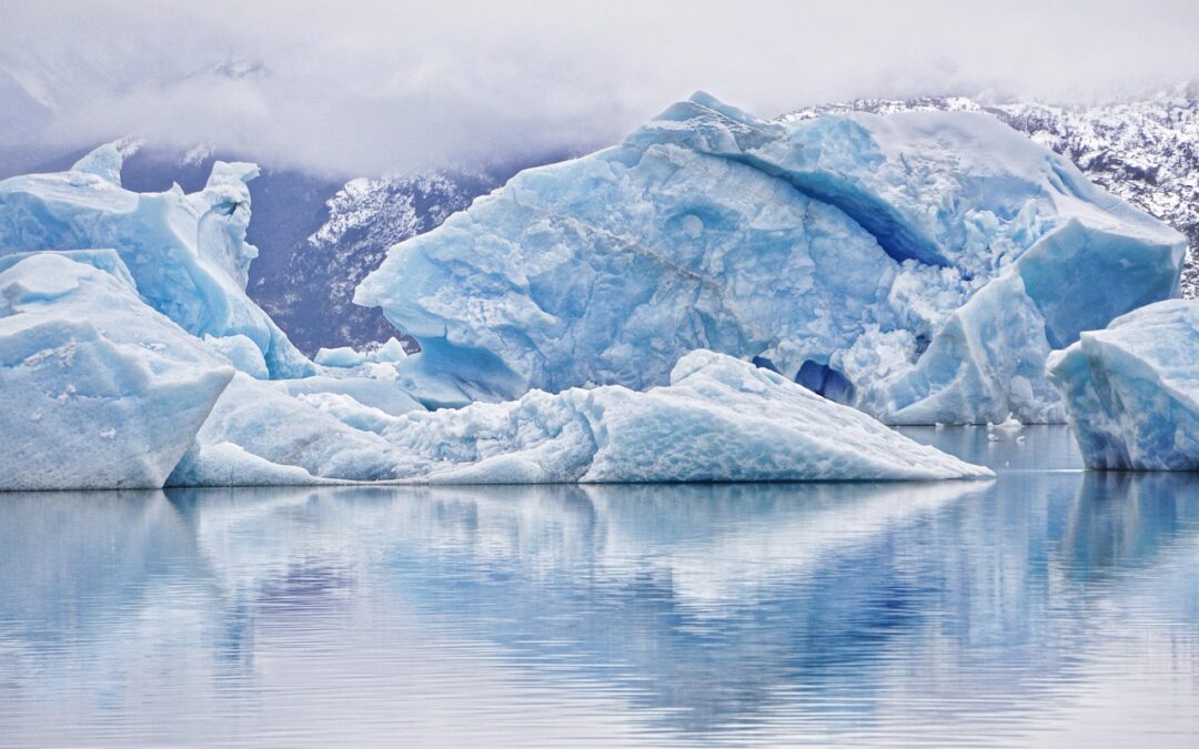 Partnerships With Active Climate Rescue Initiative – Saving Our Planet:…