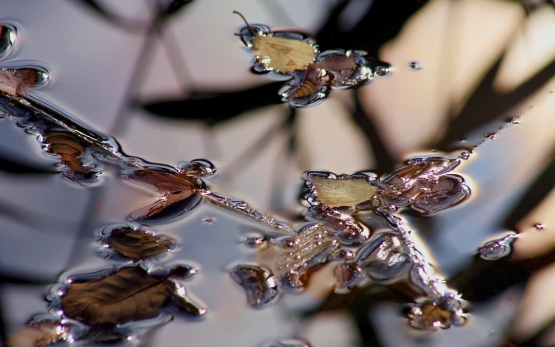 Repair Earth’s Water Cycle By Moving The Water | Saving…
