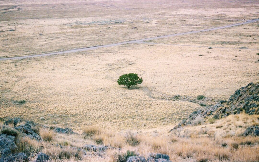 Stop Lake Drought With Conservation – Saving Our Lakes: How…