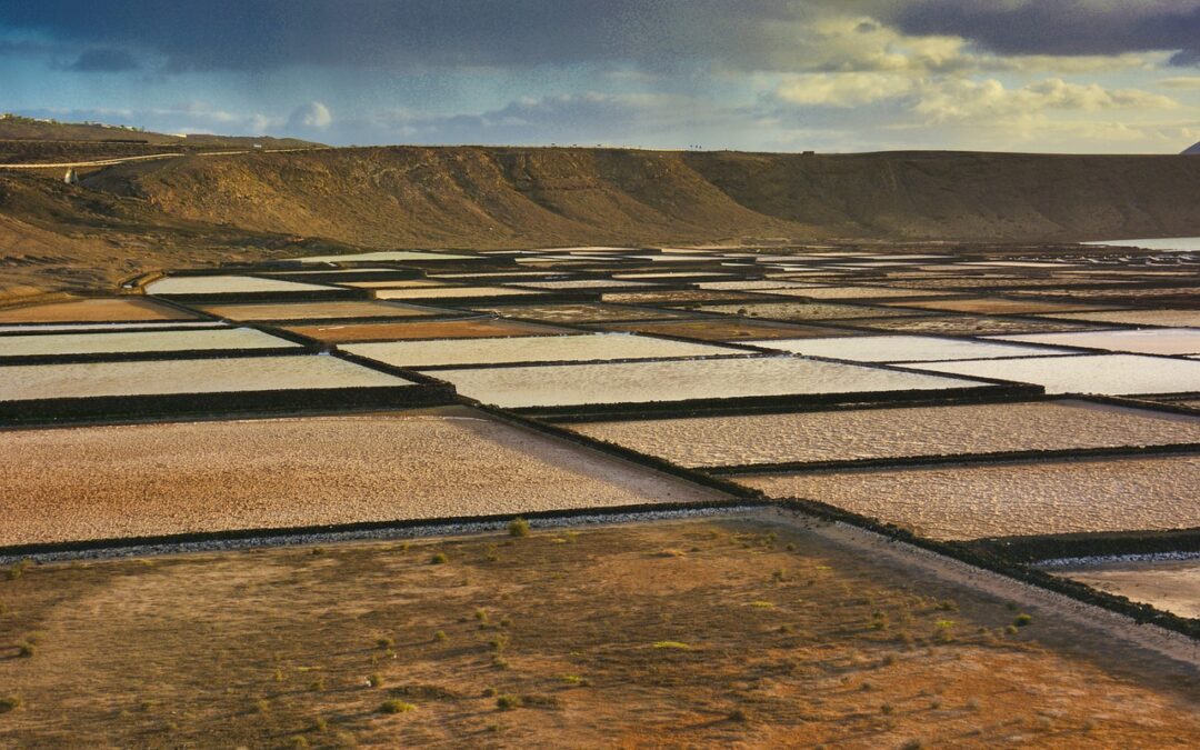 Strategies To Raise Great Salt Lake Water Levels ~ Saving…